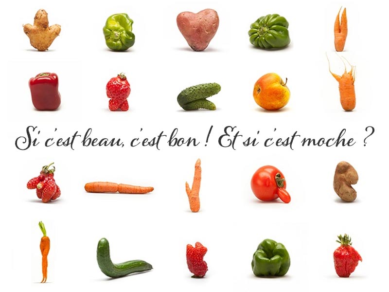 Ne vous fiez pas aux apparences !